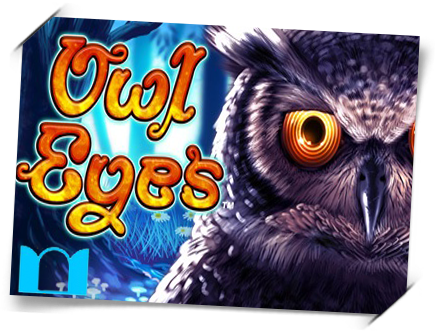 owl-eyes front