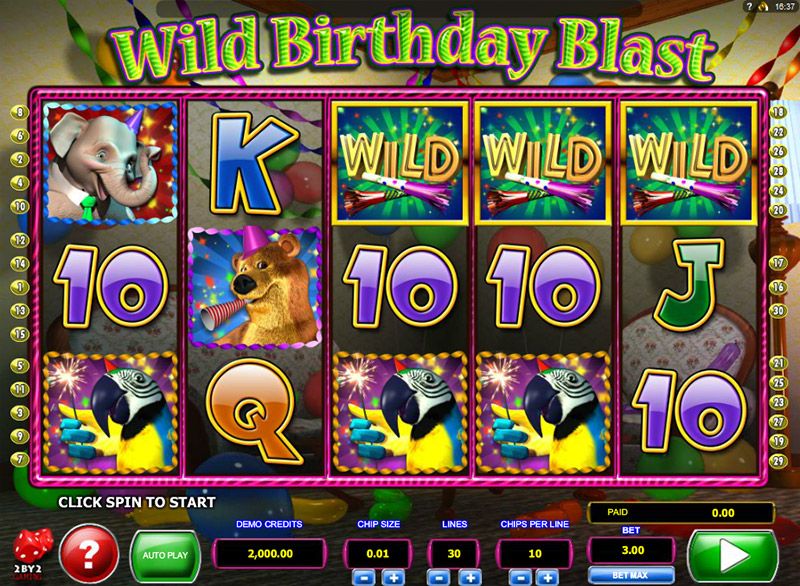 wild-birthday-blast-01