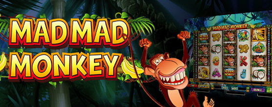 Mad Mad Monkey 04