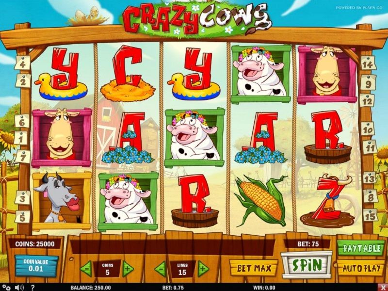 crazy-cows-slot