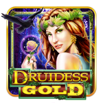 druidess-gold-logo