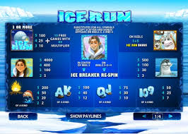 ice-run-info