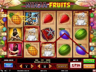 ninja-fruits-win