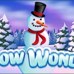 snow-wonder-logo