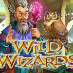 wild-wizards-logo-better