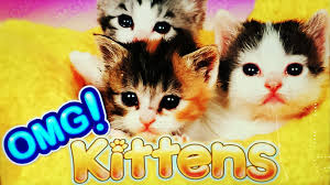 omg-kittens-logo