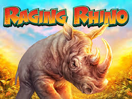 raging-rhino-logo