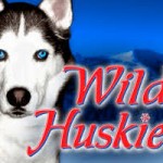 wild-huskies-logo1