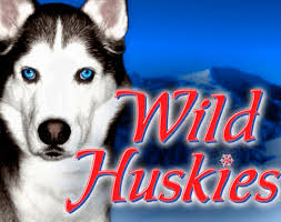 wild-huskies-logo1