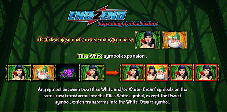 miss-white-info