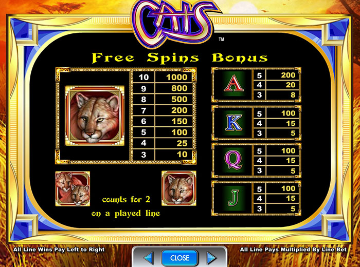 cats-info