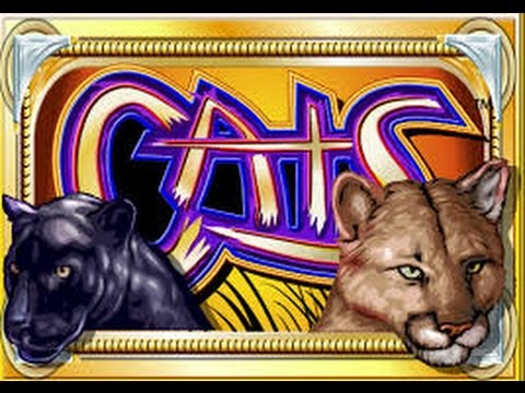 cats-logo2