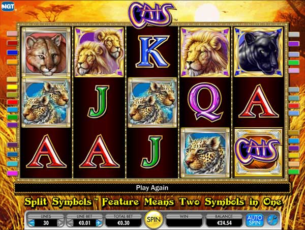 cats slot2