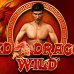 red-dragon-wild-slot-logo