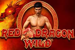 red-dragon-wild-slot-logo