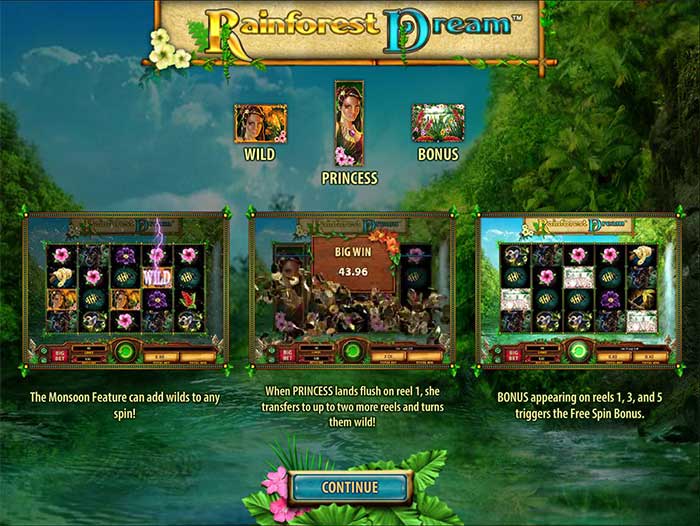 rainforest-dream-info