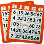 bingo-brickor6