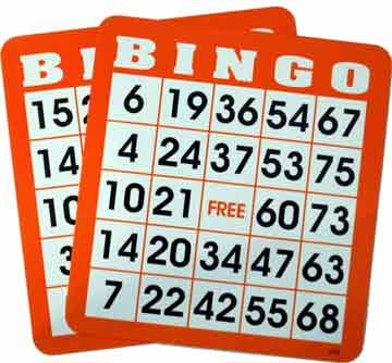 bingo-brickor6