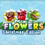 flowers-christmas