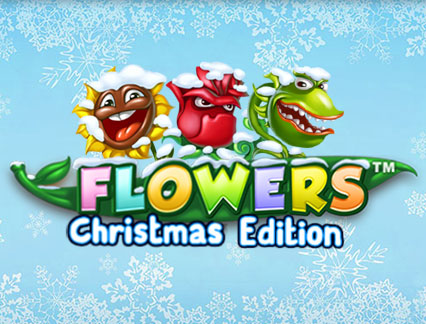 flowers-christmas