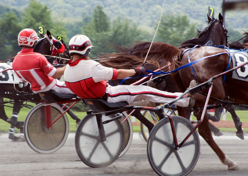 harness race-2