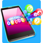 bingo-mobil1