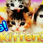 omg-kittens-logo