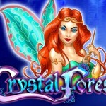 Crystal-Forest-logo1